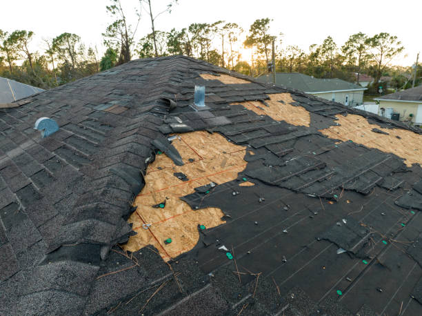 Best Chimney Flashing Repair  in Seminole, FL